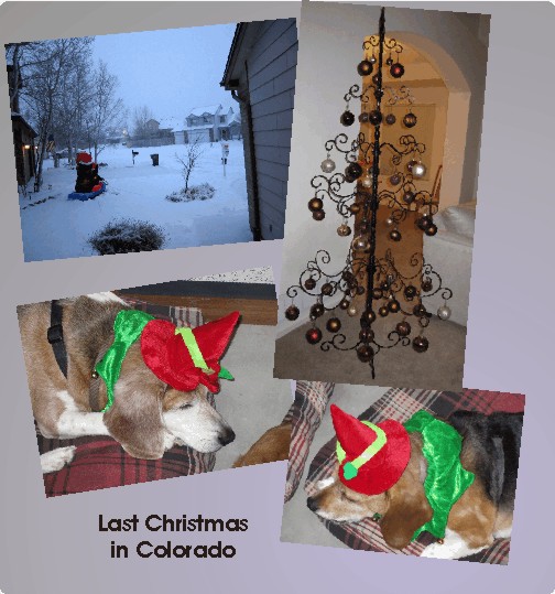 Last Christmas in Colorado 2010