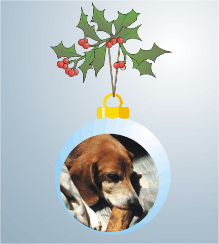 Sweet boy, Billy Beagle chewing on a juicy bone