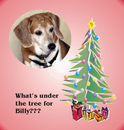 What's under the tree for Billy?