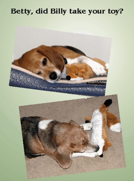 Did Billy take your toy?