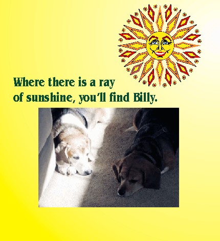 Billy loves the sun!