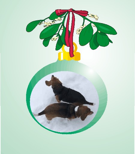 Billy Bob & Betty Sue in the snow