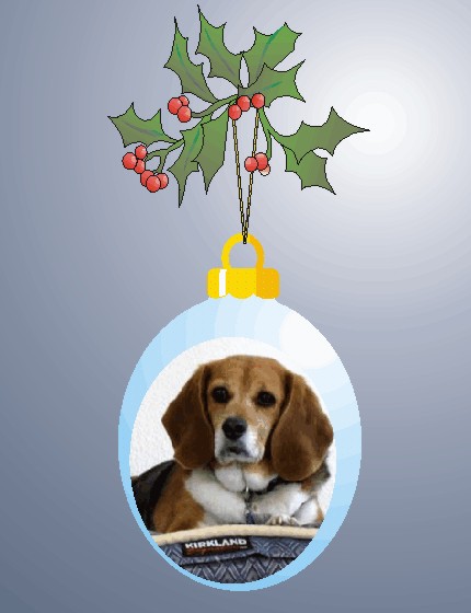 Betty loves that bed from Costco