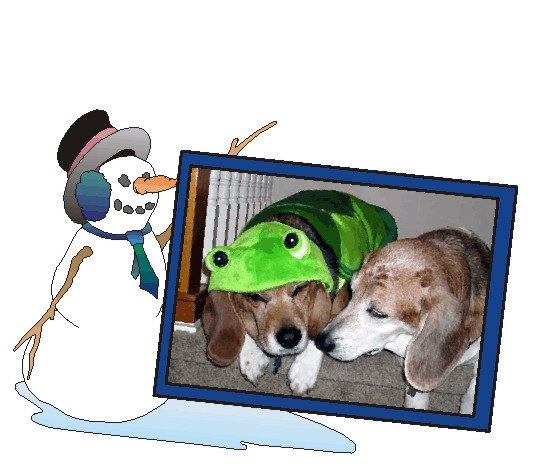 Billy says: "Better you than me."