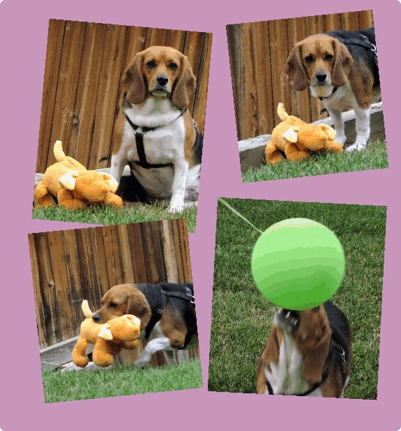 Betty and her toys
