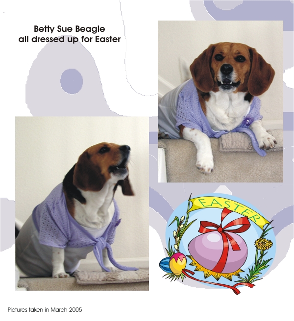 Betty Beagle dressed up for Easter, 2005