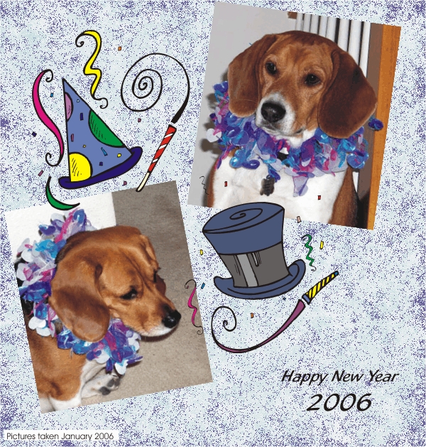 Happy New Year 2006 from Billy & Betty Beagle