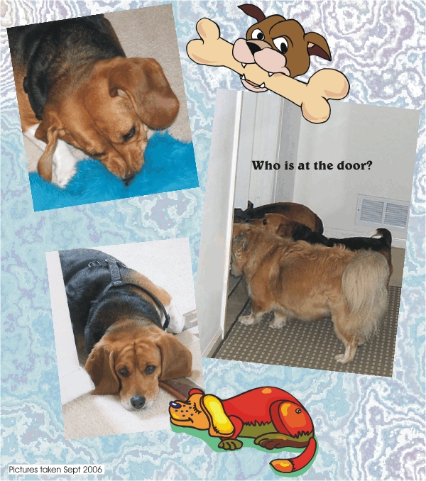 Who is at the door?