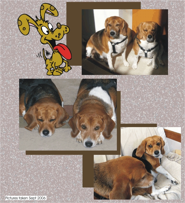 Billy & Betty at home