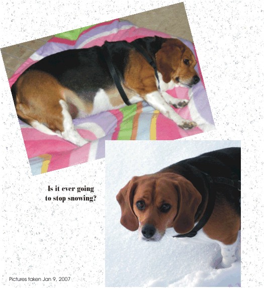 When will it ever stop snowing?