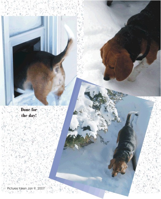 Thought all the snow was over.