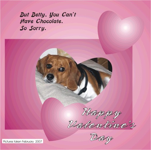 Dogs can't eat chocolate - so sorry Betty Beagle