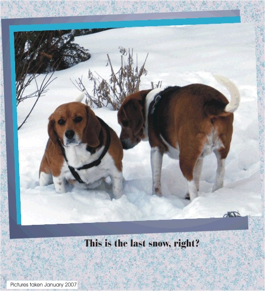 This is the last snow, right?