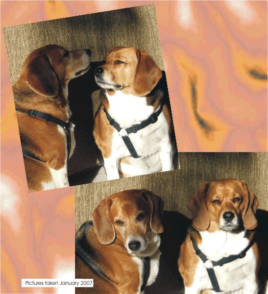 Taking a break from all the December snow