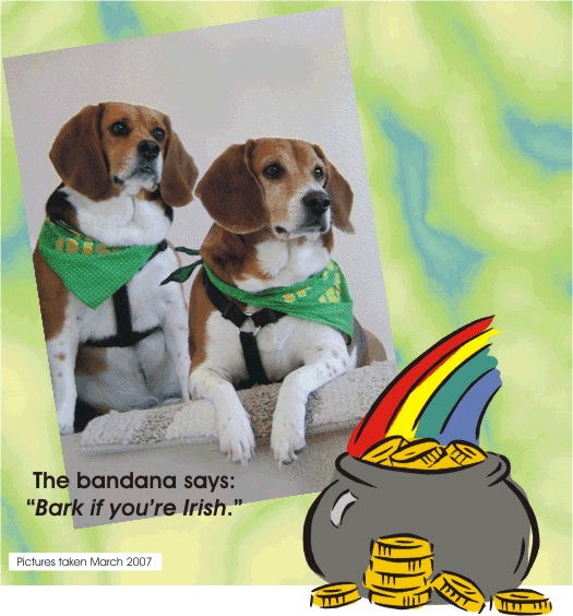 Bark is you are Irish