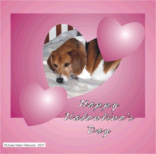 Happy Valentine's Day.  Hope all your dreams come true!