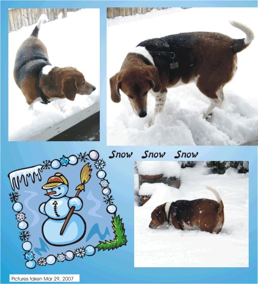 This has really been the season for snow, snow, snow