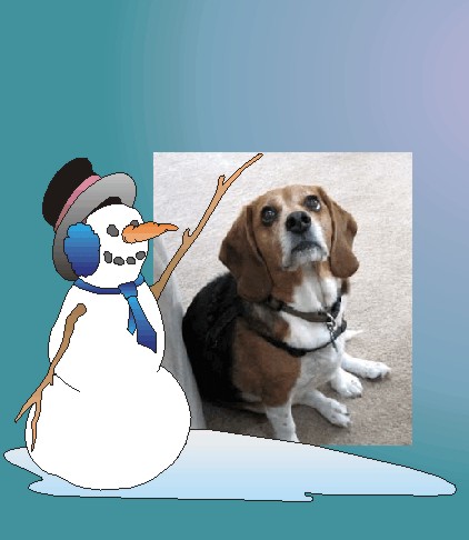 Betty Beagle, Come on Down