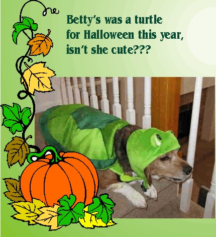 Betty was a turtle for Halloween