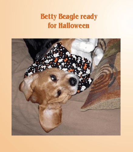 Betty Beagle - such a cute girl
