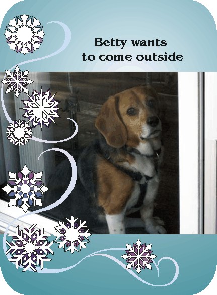 somebody open the door