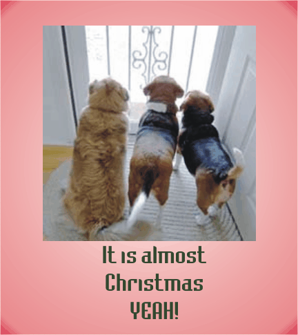 The kids love Christmas
