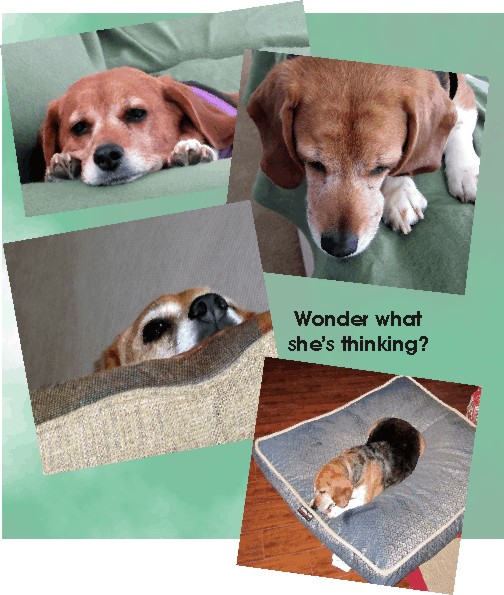 Wonder what she is thinking?