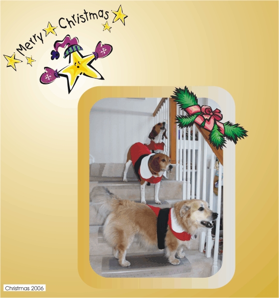 Betty, Billy & Lucky posing on the stairs