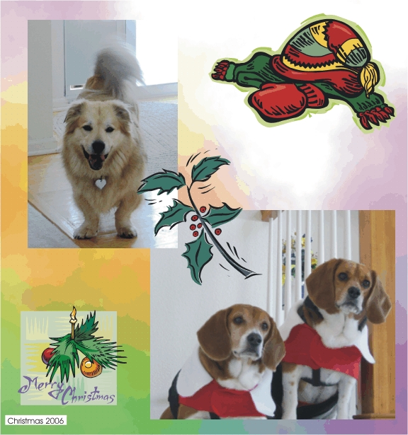 How sweet Lucky, Billy & Betty look