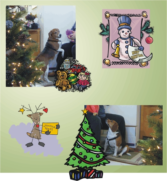 Beagle 2006 Christmas Photo Album-Billy & Betty waiting for their presents