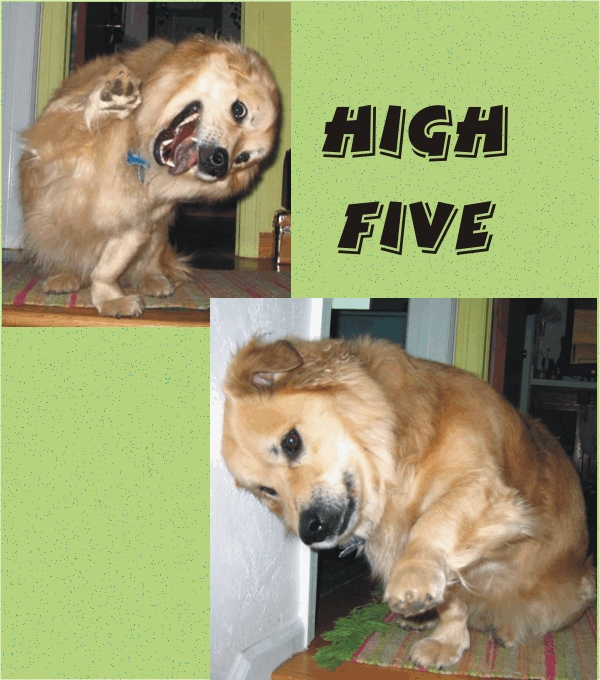 When do I get my treat?