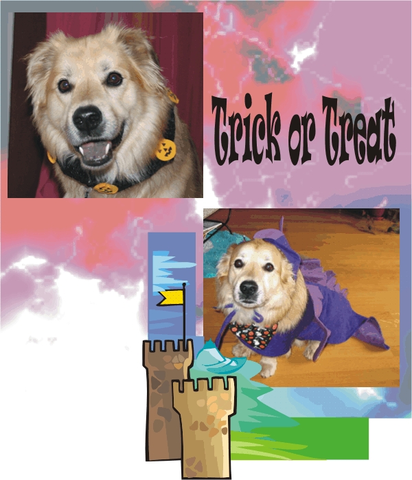 Lucky Dog says "Trick or Treat."