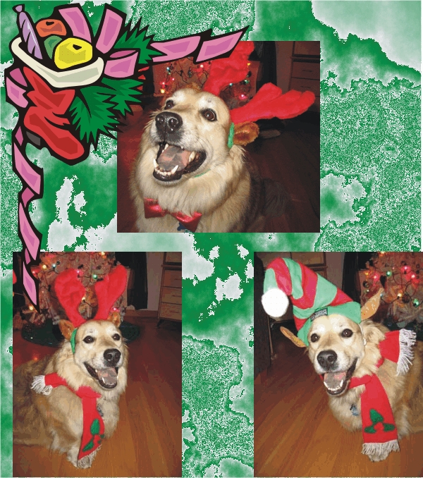 Lucky as a elf & reindeer