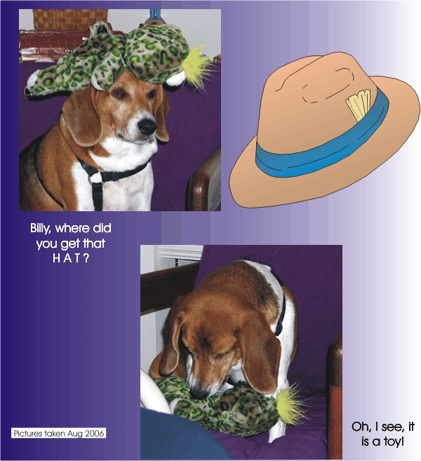 Billy Bob Beagle, where did you get that hat?