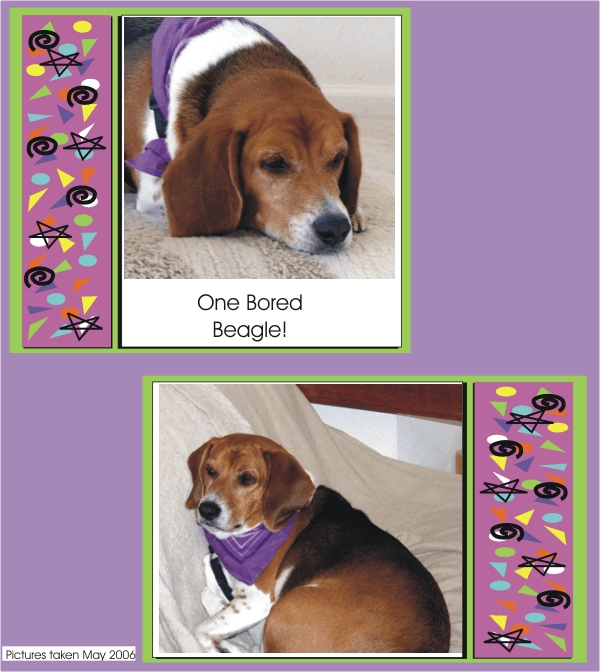 Billy Beagle - One Bored Beagle