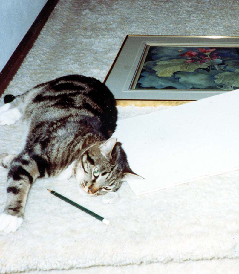 Mandy Kitty - helping hang my watercolor painting