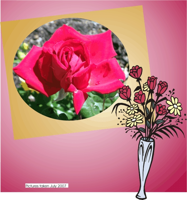 This a rose called Miranda.  It is fragrant too.