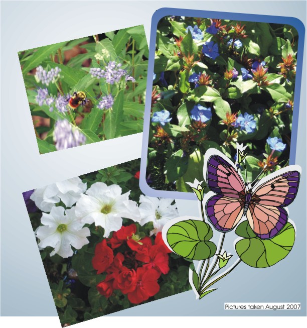 Couldn't Resist including this Shots