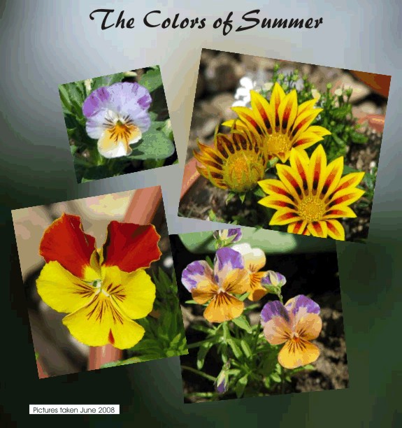 The Colors of Summer