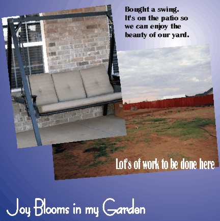 Garden Swing to enjoy the eventual beauty of the yard