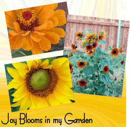 Zinnias & sunflowers dominated the garden