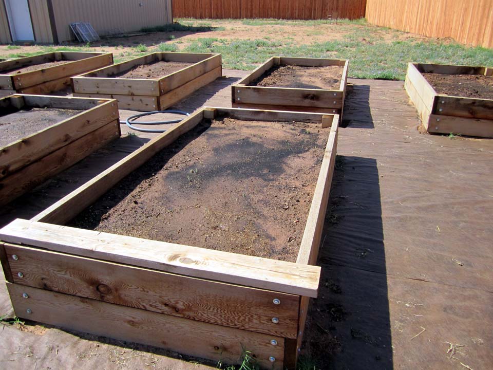 20 of these beds make up my Victory Garden