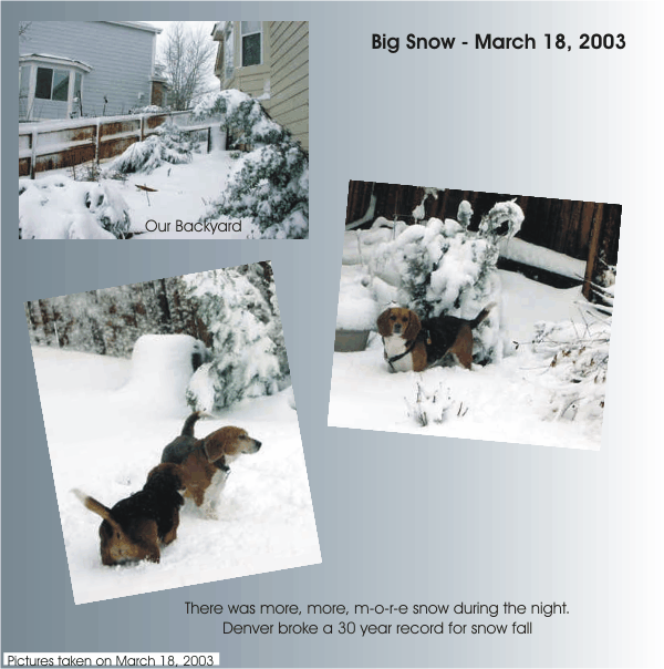 Bob & Betty Beagle enjoying the big snow storm, Mar 2003