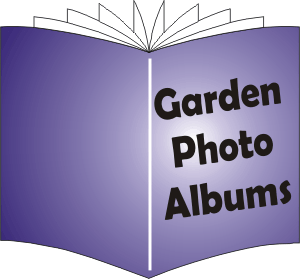 Click to Select Another Garden Album
