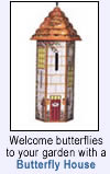 #1 Butterfly garden information resource online!