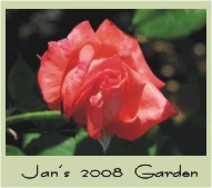 Click here to view my 2008 Garden